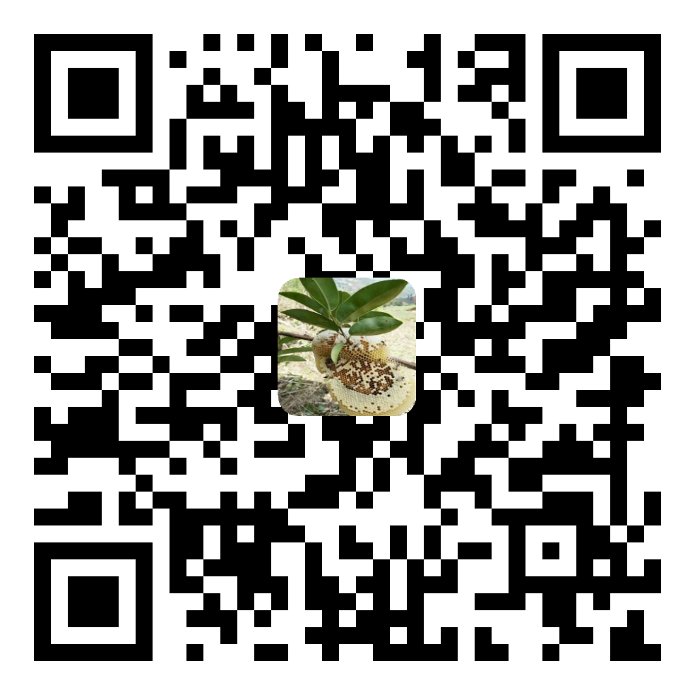 二维码图片无法显示,请到后台创建